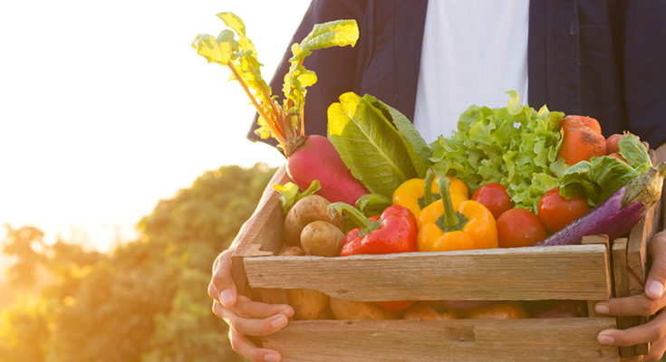 Eat These 9 Vegetables to Keep Cool During Summers!