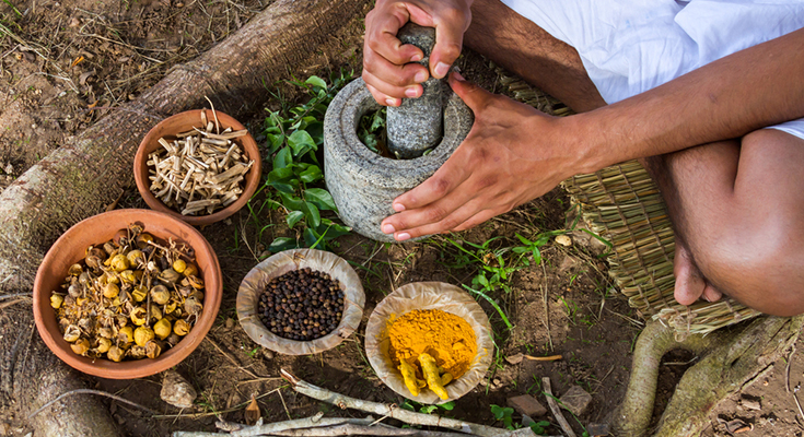 5 Most Beneficial Ayurvedic Herbs Used In Ayurvedic Treatment