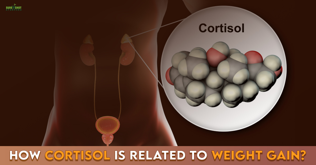 How Cortisol Is Related To Weight Gain?