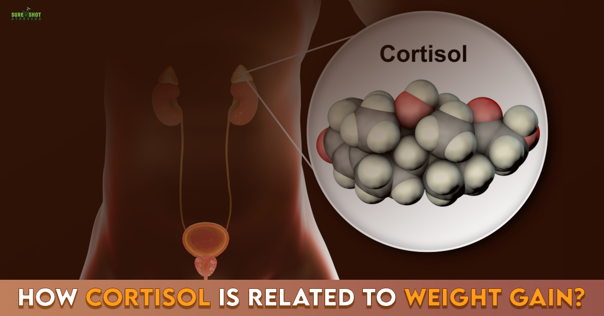 CORTISOL