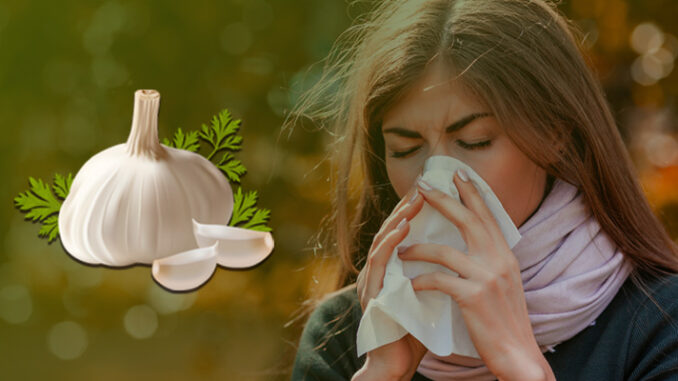 Garlic Is Great To Stay Immune From Seasonal Flu and Cold!