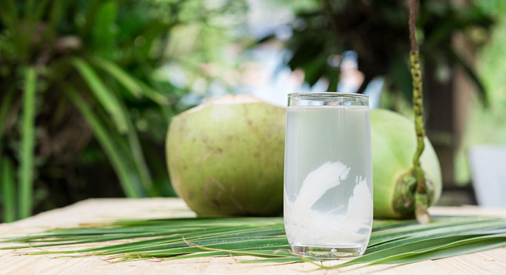 Coconut Water Is The Best Drink For Summers? – 5 Benefits of Coconut Water