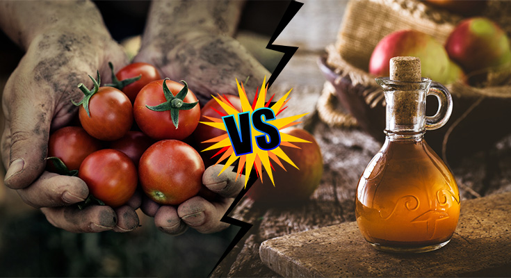 Organic Food Vs Non-Organic Food