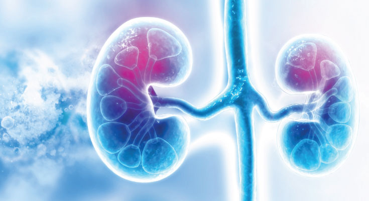 9 Habits You Need To Change To Protect Your Kidneys!