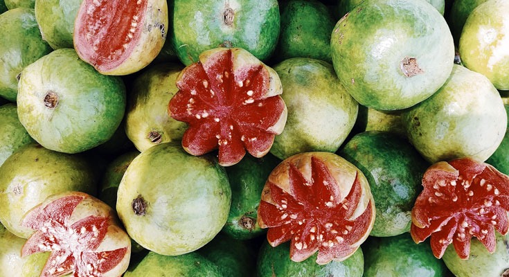 benefits of Guava