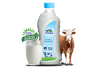 A2 Pure cow milk